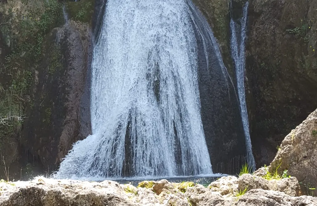 Alloggi AlohaCamp Refugio de madera estilo árabe con estatuas y un zoo 1