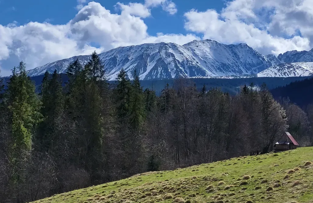 Alloggi AlohaCamp Domek Pod Ubocom w Zakopanem  1