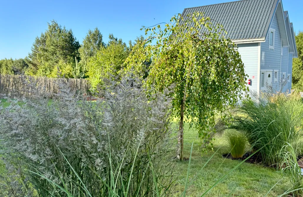 noclegi AlohaCamp Domki Podniebo 5