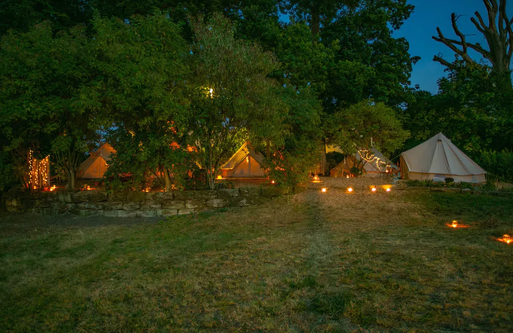 Hébergement AlohaCamp Into the Green - Tentes Glamping 2