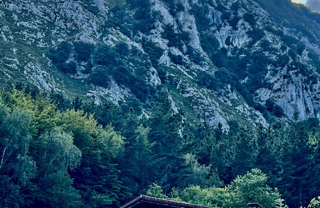 Glamping Pais Vasco Dukebaso 1