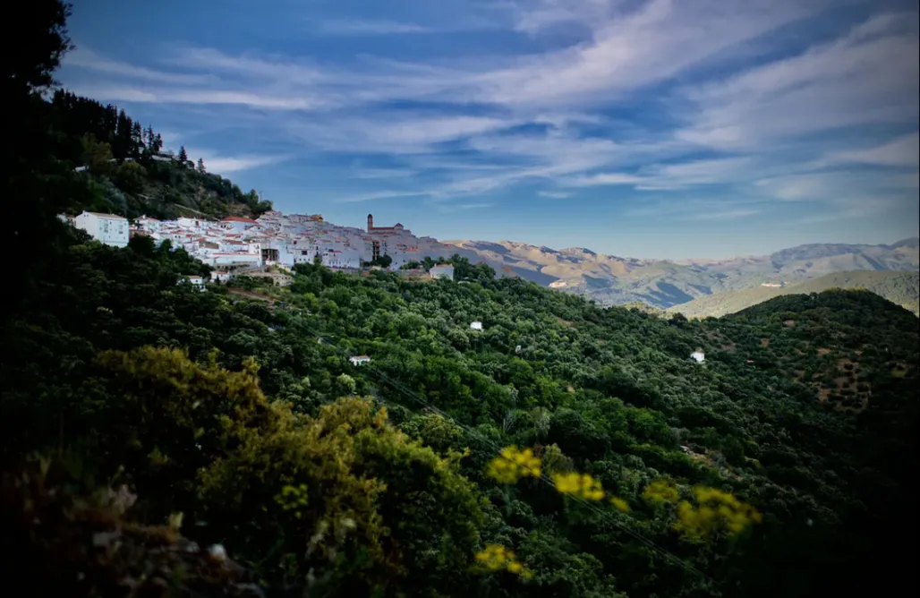 AlohaCamp Casita Bohemia 1