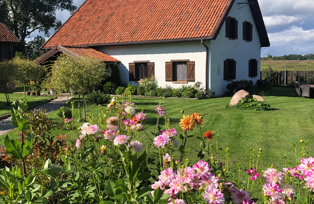 Unterkunft AlohaCamp Siedlisko Borówkowo 2