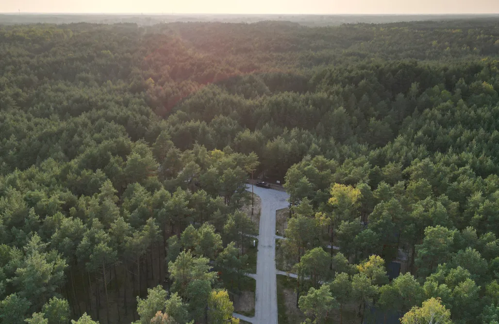AlohaCamp Przeszklony domek z widokiem 1