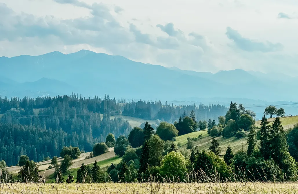 AlohaCamp Domek Juhas 1