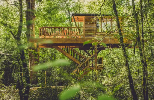 Imagen de Suites en los árboles