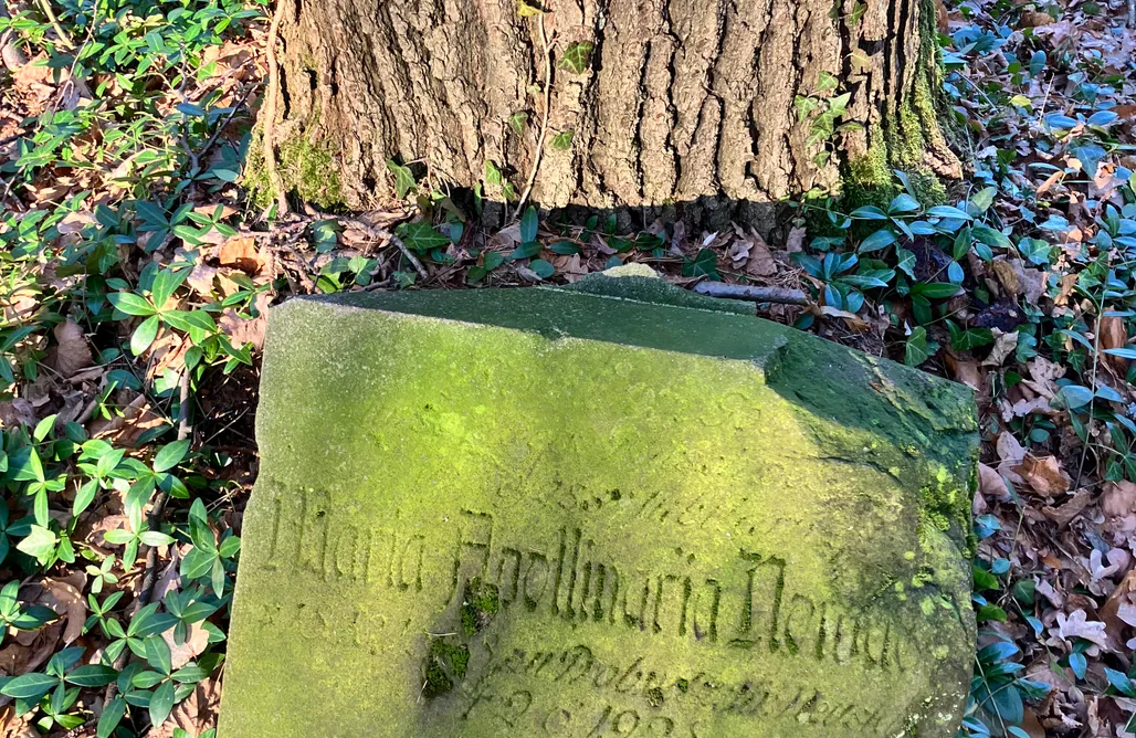 noclegi AlohaCamp k 3