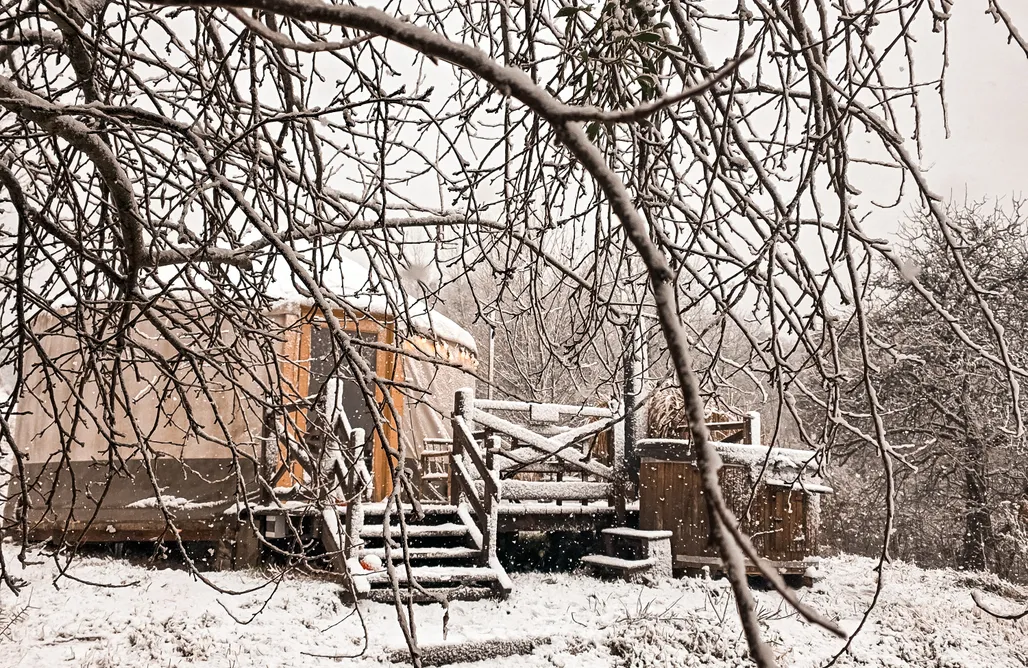 noclegi AlohaCamp Dzikolas Glamping 1