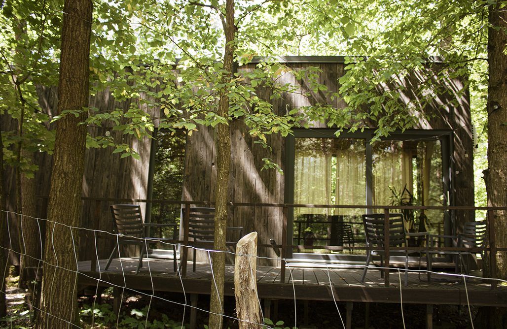 Domek Holenderski Carthome - wyjątkowy dom na kołach w otoczeniu lasu 2