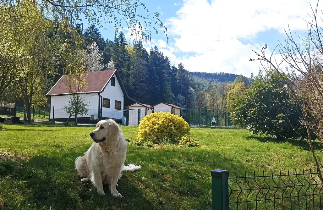 Bielice noclegi Agroturystyka Wiśniowe Zacisze 3