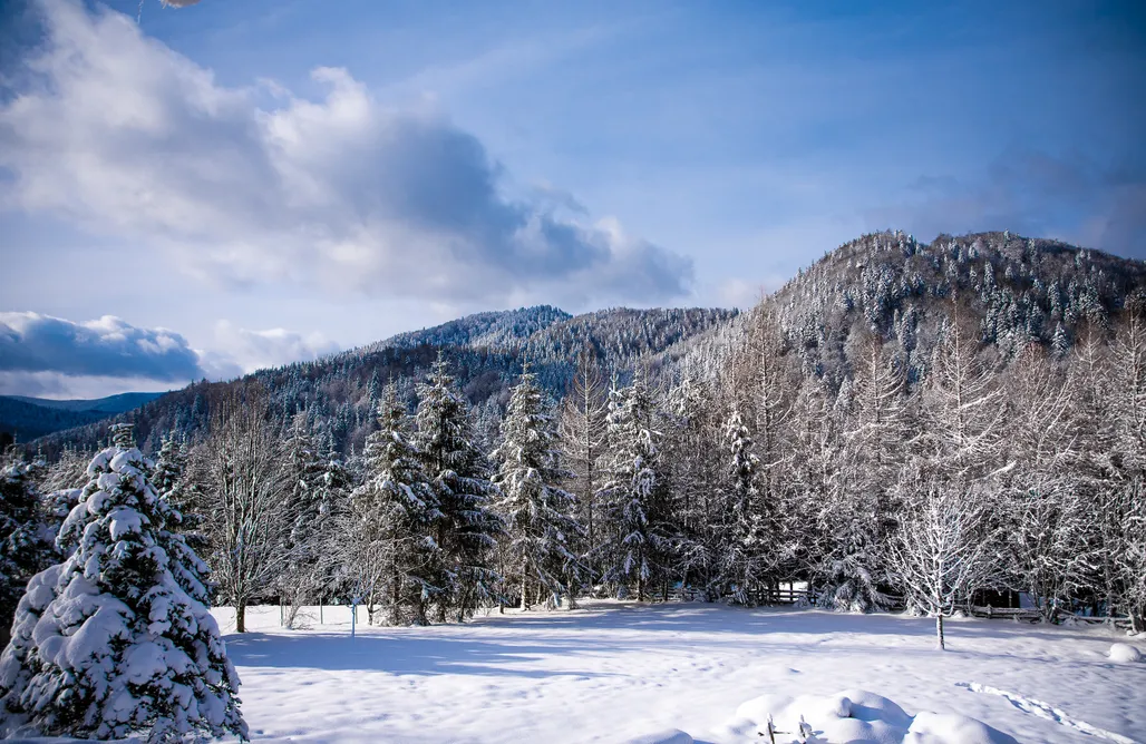 Alloggi AlohaCamp Modre Bystre  1