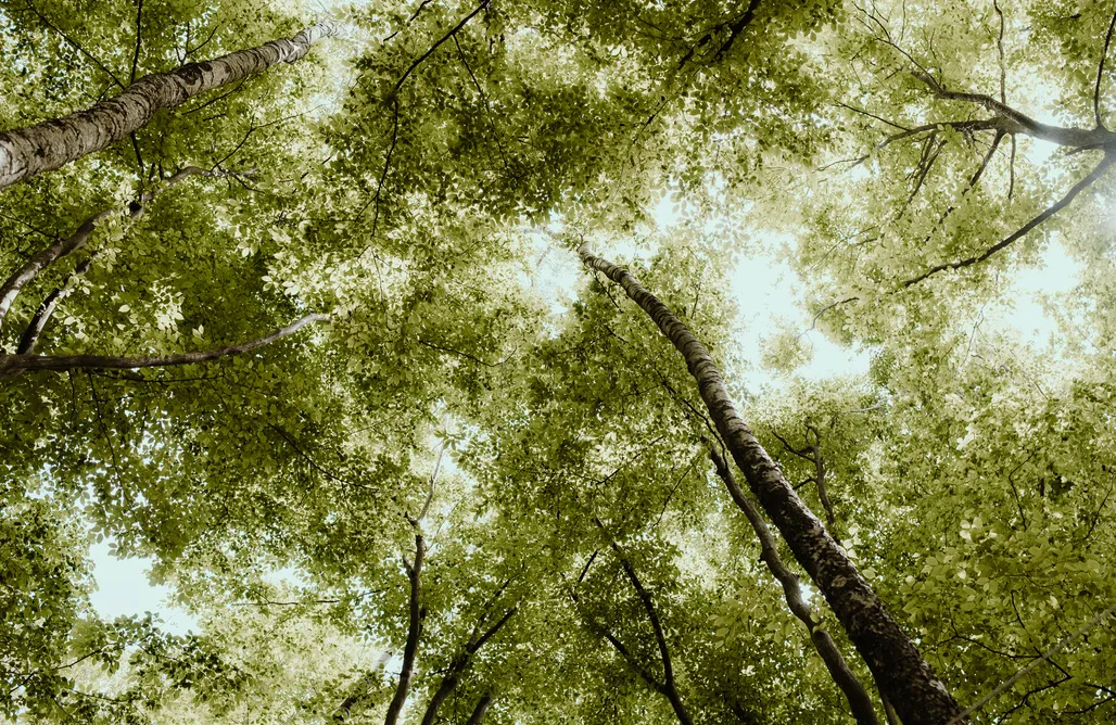 noclegi AlohaCamp Miejsce kamperowe i namiotowe - Zaborze 47 3