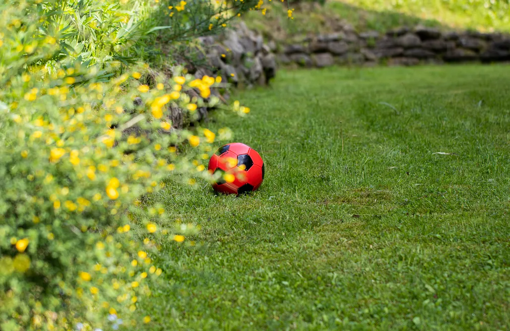 noclegi AlohaCamp Sarnówka 1