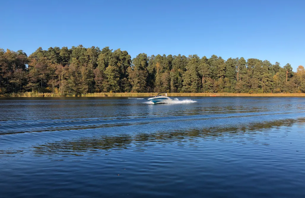 AlohaCamp Miejsce namiotowe (Namiot/ 1 osoba /Auto/Prąd/Śmieci) 2