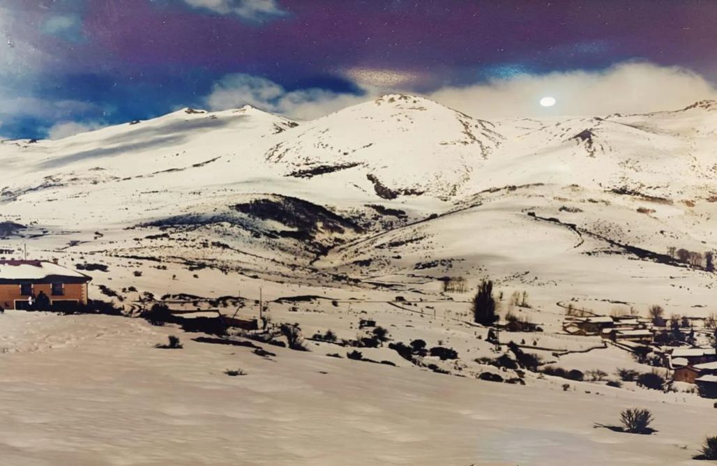 AlohaCamp Habitación doble 1