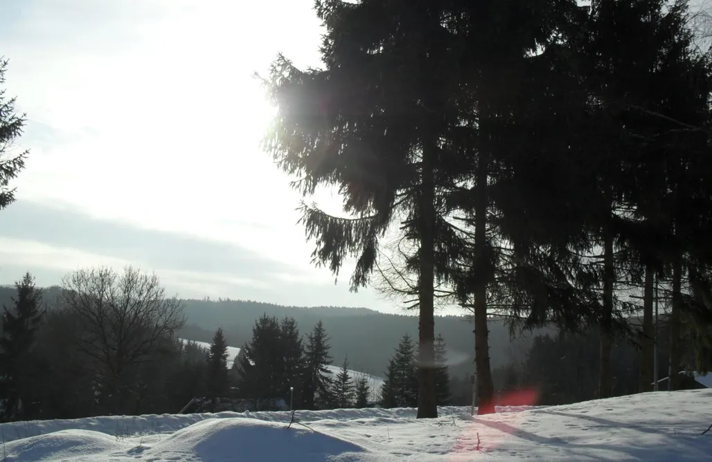 Urlaub mit Kindern Haus Wildvogel 1