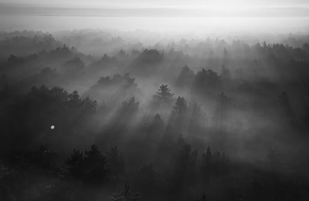 ubytovanie AlohaCamp ForRest Cabins z Leśnym SPA 1