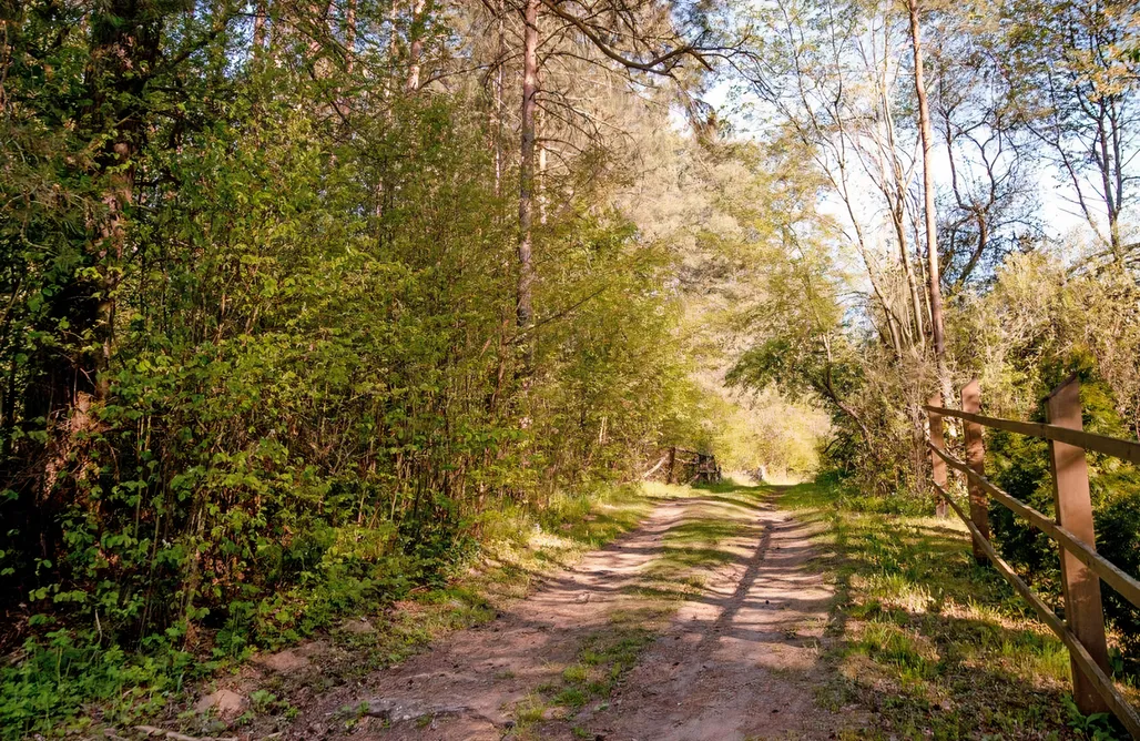 Fajne miejsce na wakacje z dzieckiem w Polsce Dom w Puszczy z ruską banią  3
