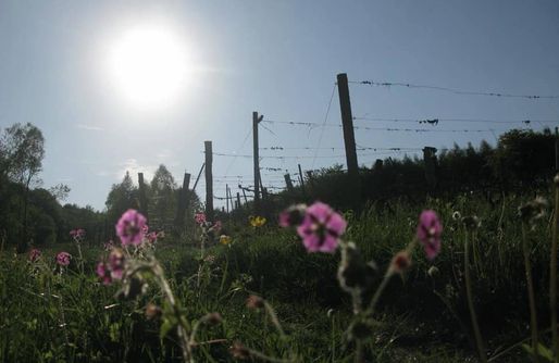 Zdjęcie obiektu Miejsce kamperowe - Winnica Węgrzyn 