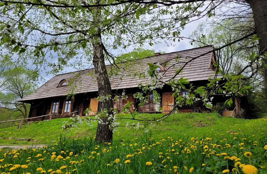 Domki Solina Chata Bojkowska  3