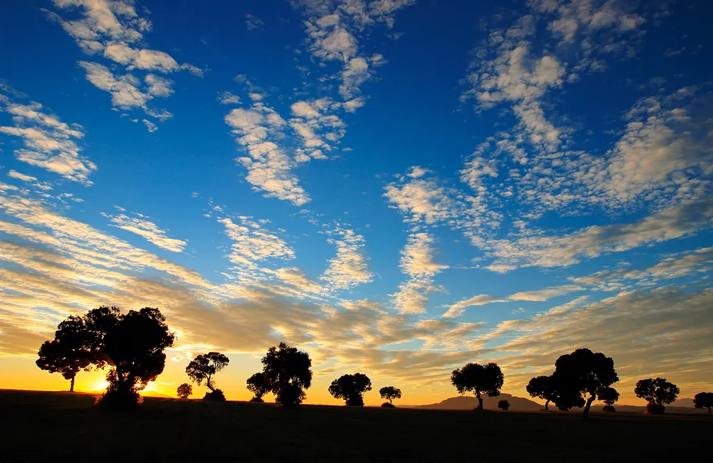 AlohaCamp Cueva de 2 dormitorios y 1 baño 1