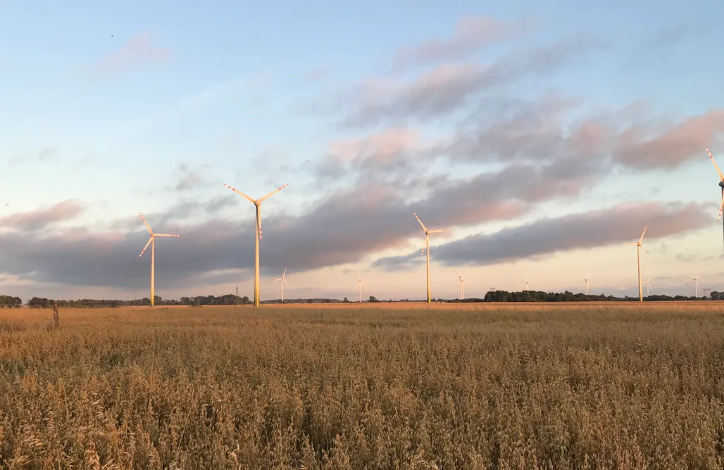 AlohaCamp STODOŁA 1 1