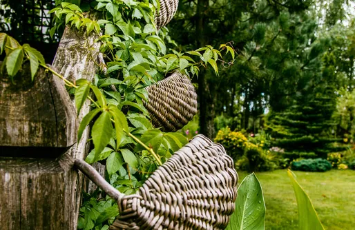 Zdjęcie obiektu Leśna Zagroda