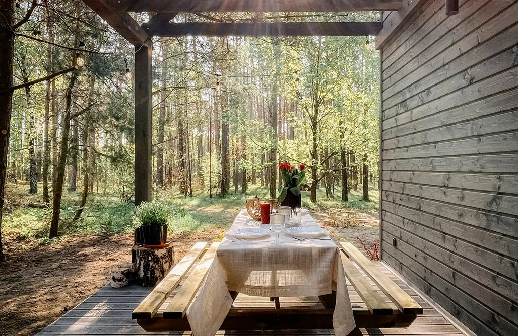 Borne noclegi Into The Forest 1