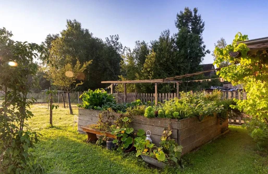 Ferienwohnung Bodensee Tinyhouse Lebenshofalpakas 1