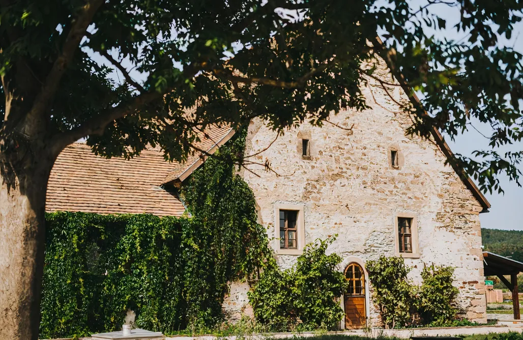 alojamientos AlohaCamp Rittergut Positz 4