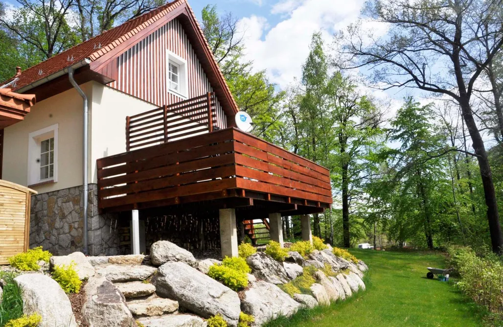 Pet-Friendly Accommodations Space 2