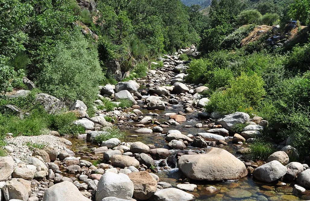noclegi AlohaCamp Atico Vista la SIerra 5