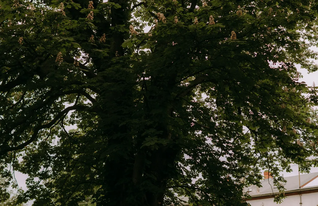 AlohaCamp BioRezydencja 1