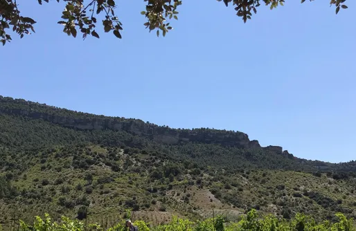Imagen de Sitio para caravanas - Celler Gritelles