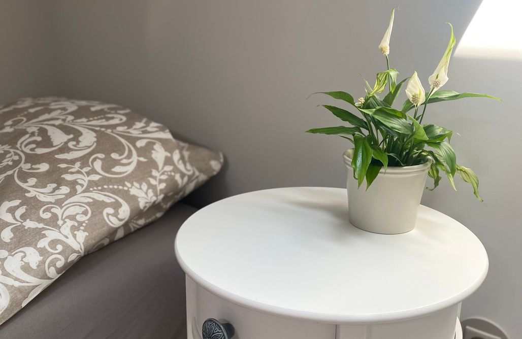 AlohaCamp Prowansja - dom z 2 sypialniami 2