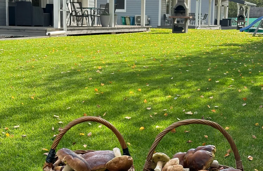 Gietrzwałd Noclegi Klimaty Mazur 1