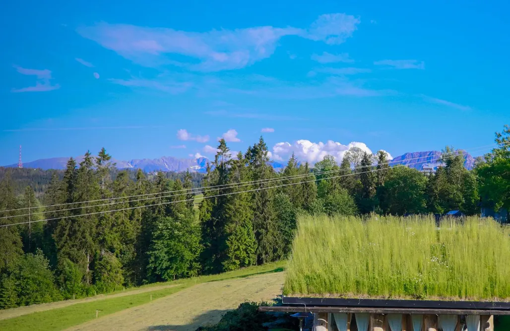 Domek Z Jacuzzi Zakopane Alpejska Szarotka 1