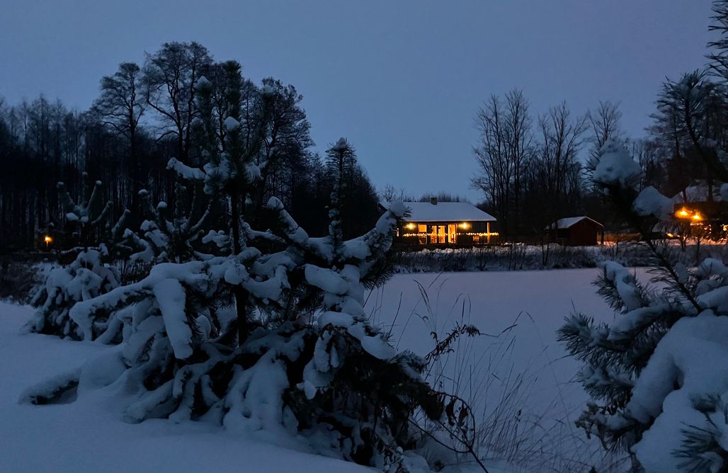 noclegi AlohaCamp 2 os Domek nad Stawem - jedyny na działce w otoczeniu lasu 2