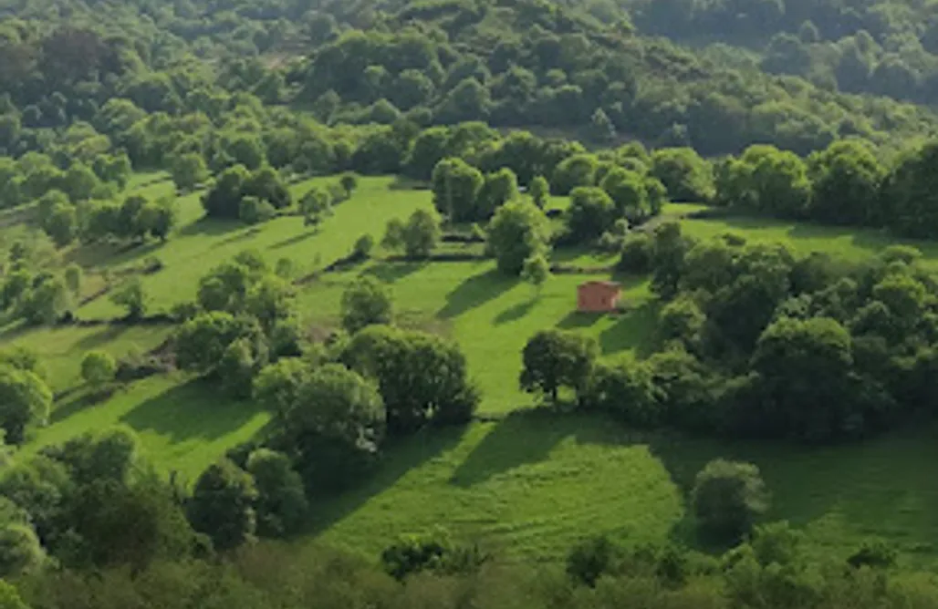 noclegi AlohaCamp Magnolia 1