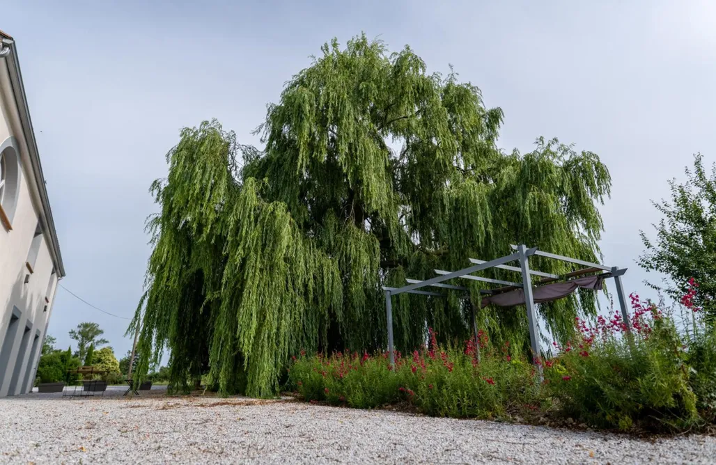 Hébergement AlohaCamp Chez PhiL 5