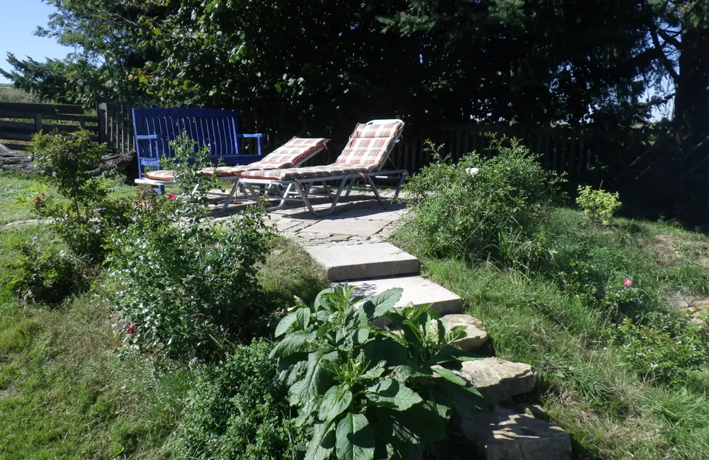 Unterkunft AlohaCamp Blauer Heinrich im Auszeithof Niederfrohna 5