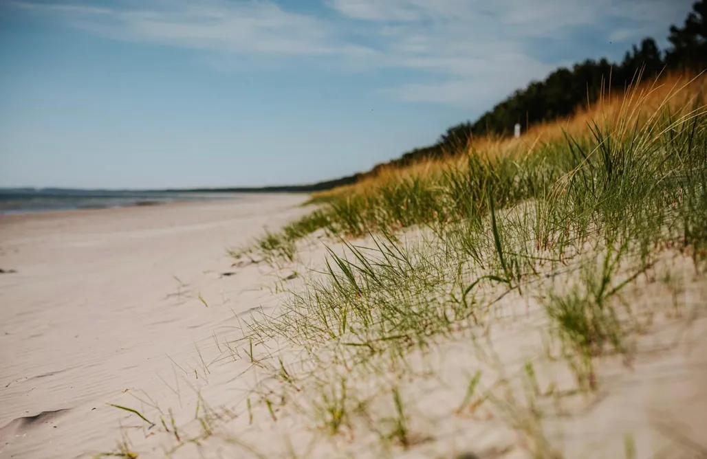 Ferienwohnung Zingst Schwimmendes Ferienhaus "Trinity" Ihr Seahome auf der Ostsee 1