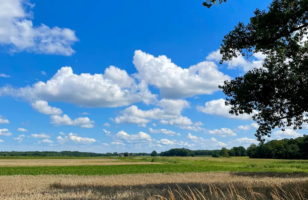 noclegi AlohaCamp Sielanka Glamping – luksusowy namiot z prywatnym jacuzzi 1