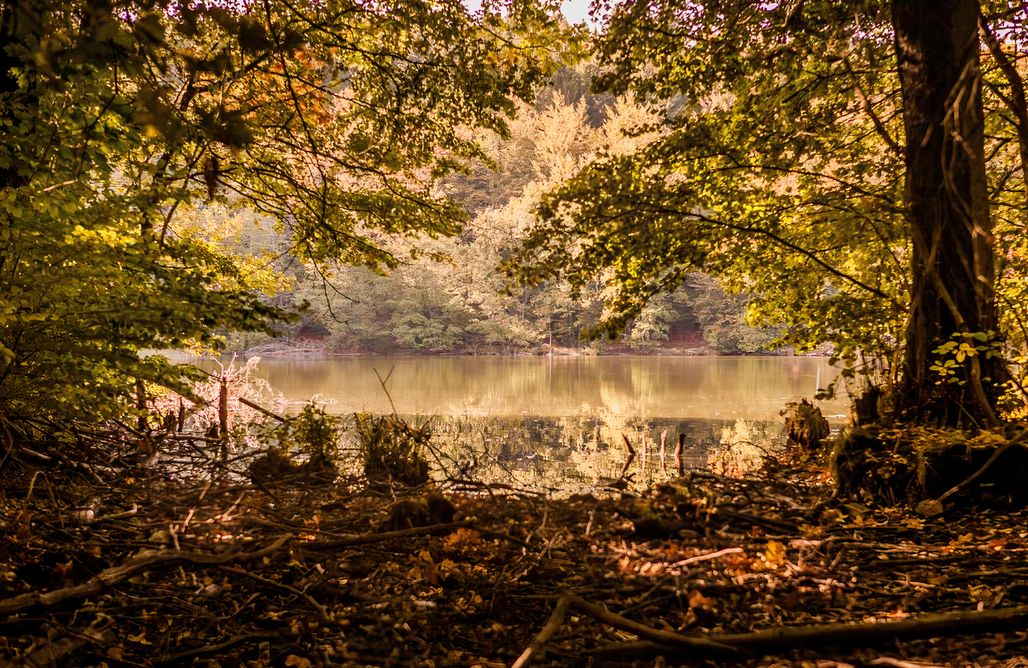 Glamping Poland Saunowisko pod Jabłonią - Dom Niebieski 3