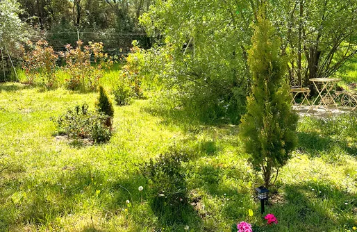 Imagen de Natura Domo 