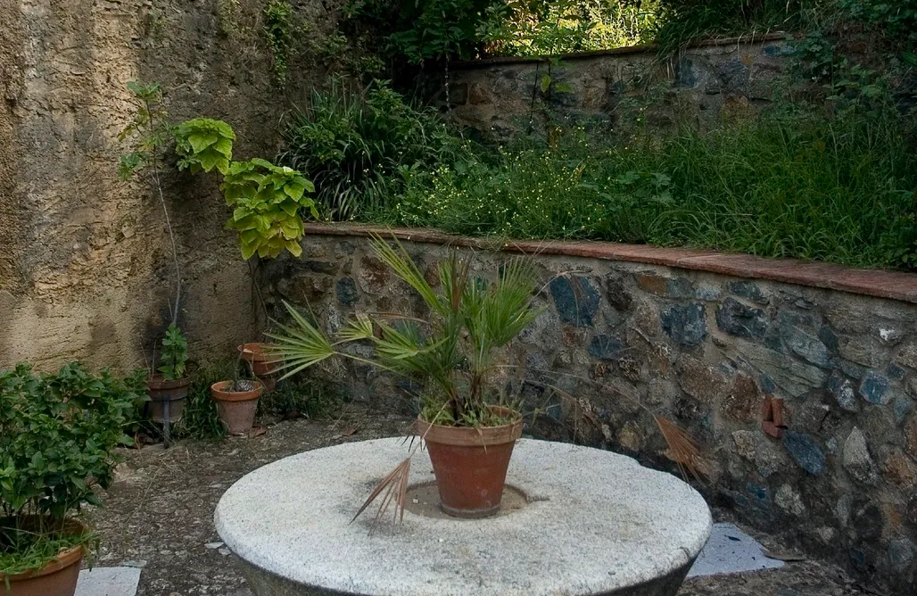 AlohaCamp El Águila  1