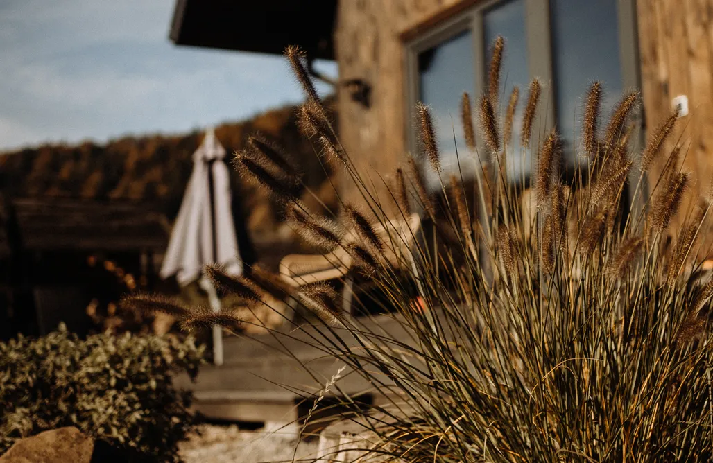 AlohaCamp Szumilovy Domek z Misiem 2