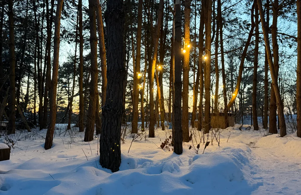 ubytovanie AlohaCamp Paprotka - dom i las 1