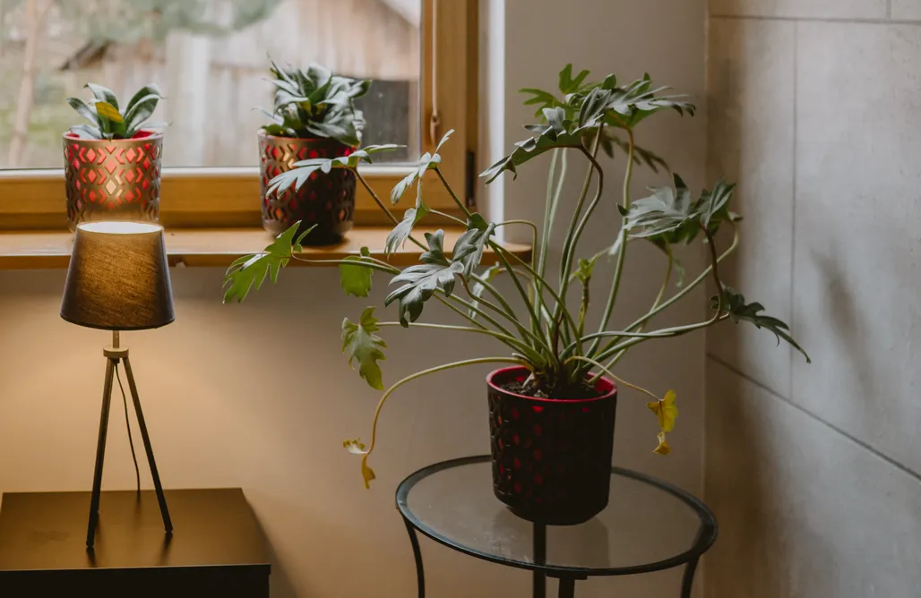 noclegi AlohaCamp Domek przy Strumyku Rajcza 1