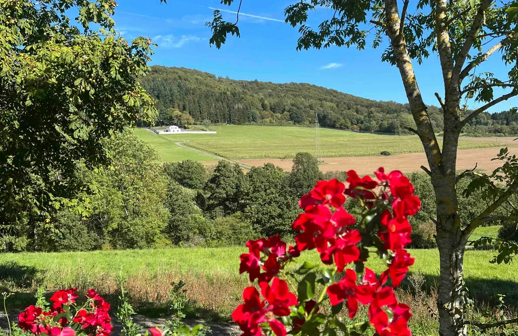 Hütte Im Wald Mieten Eifel 46 - Bungalow-Chalet „Joscha“ 1